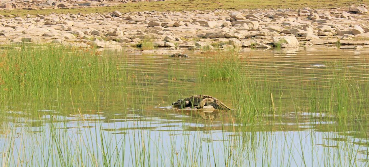 Bhadrawati - A Riverside Safari Lodge Ranthambore Exteriér fotografie